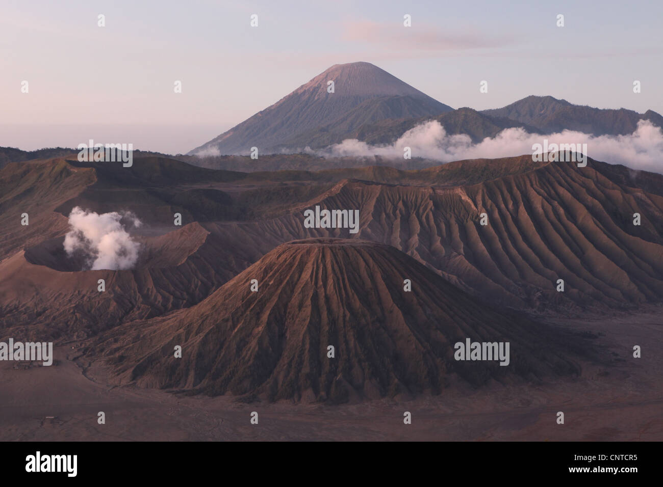 I vulcani all'interno della Caldera di Tengger in Java Orientale, Indonesia. Foto Stock