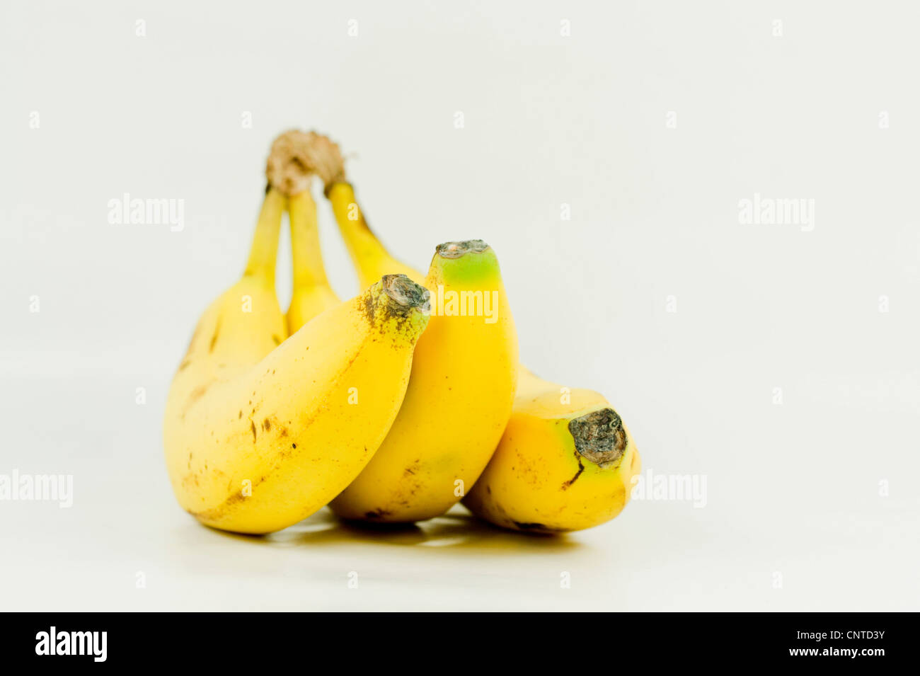 Un mazzetto di tre banane Foto Stock