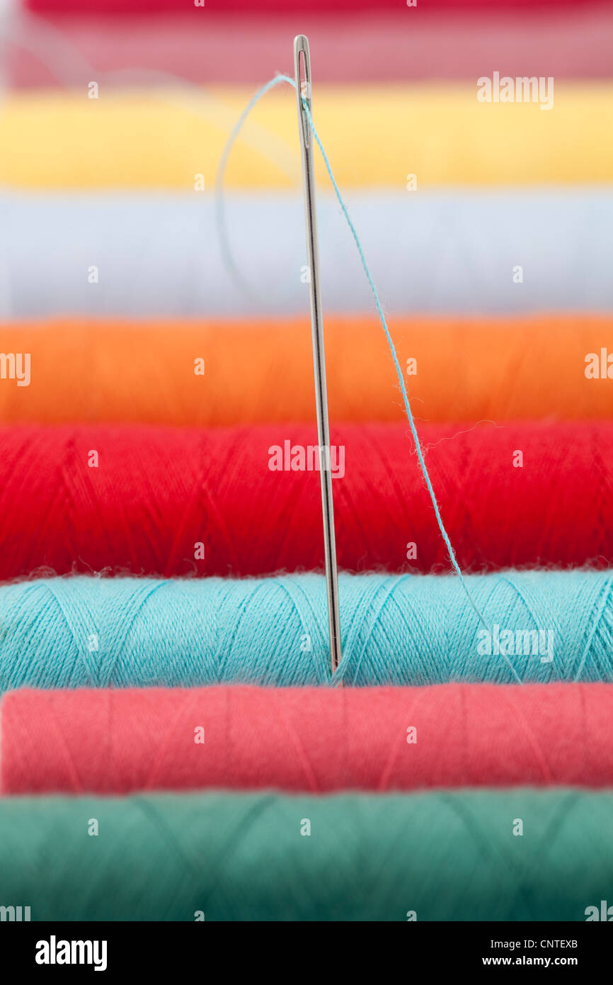 Filettatura colorato sullo stelo con grosso ago Foto Stock
