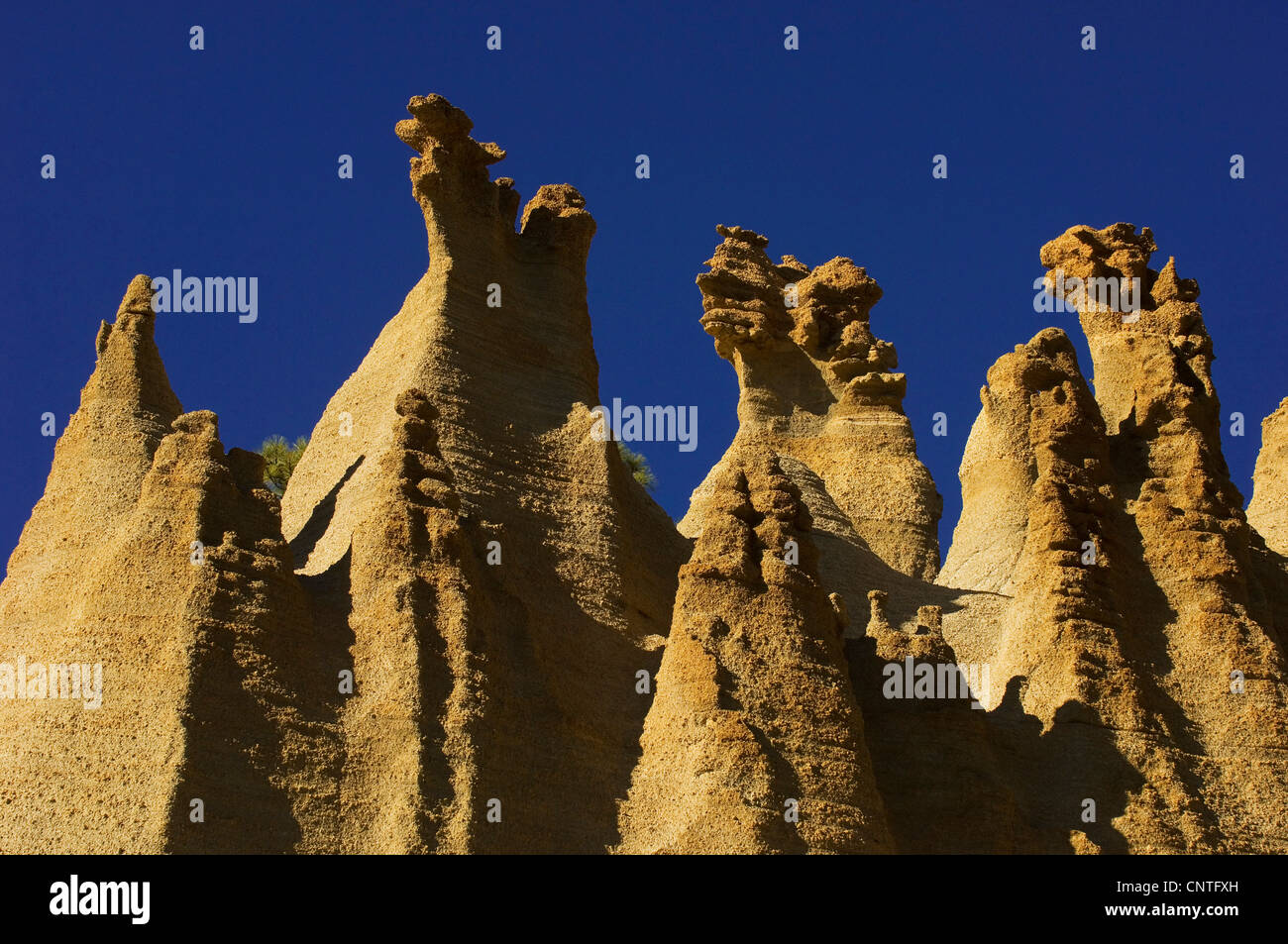 Il paesaggio lunare Parco Nazionale del Teide, Isole Canarie, Tenerife, Parco Nazionale del Teide Foto Stock