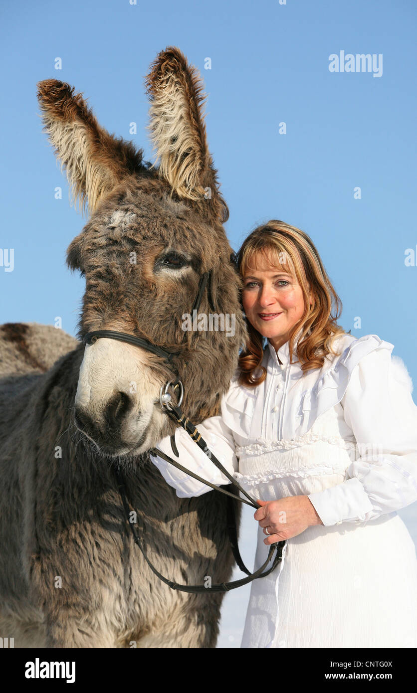 Asino domestico (Equus asinus f. asinus), donna in abito bianco con donkey in inverno Foto Stock