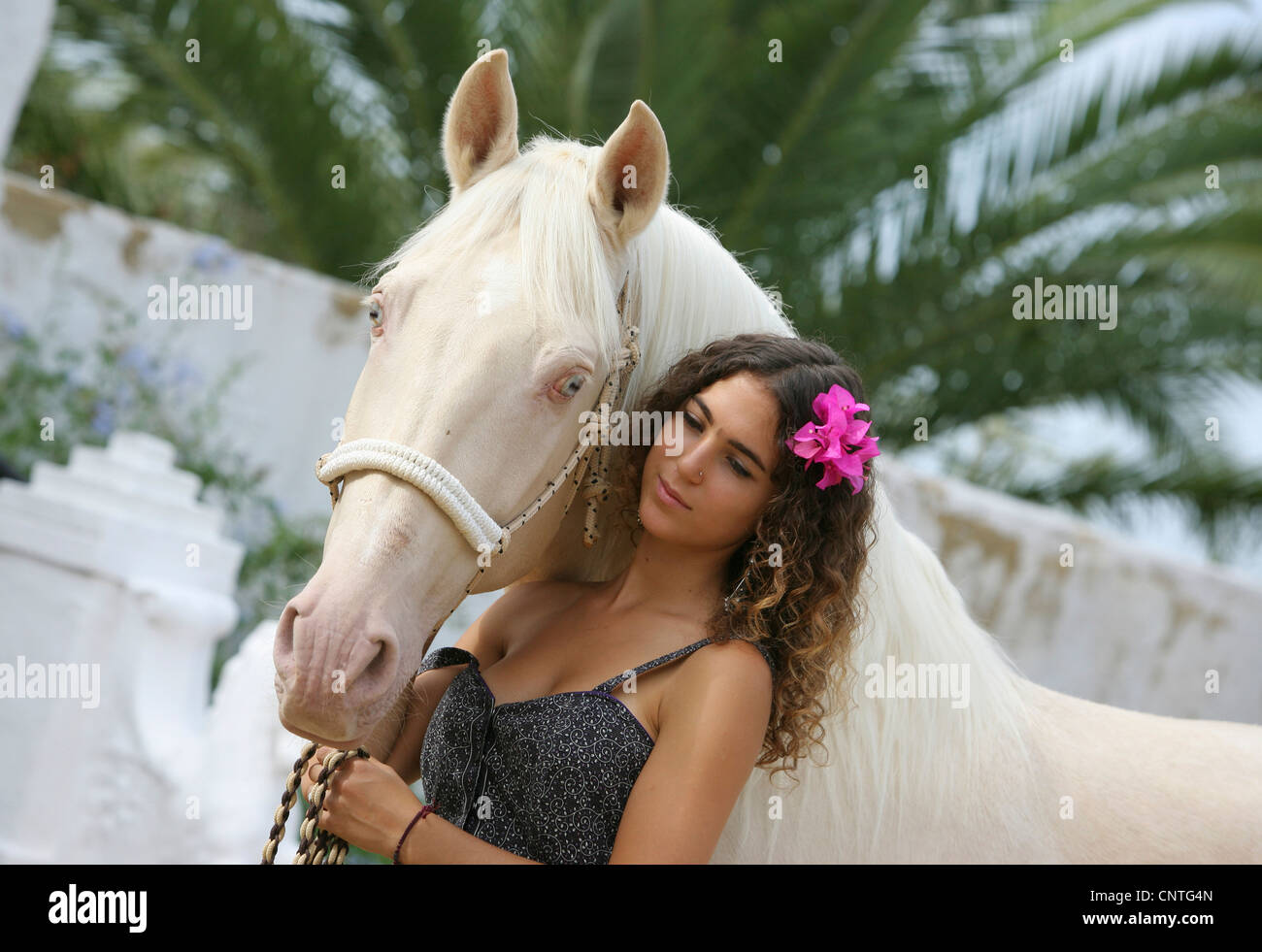 Cavallo andaluso (Equus przewalskii f. caballus), giovane donna con cavallo andaluso andalusia Foto Stock