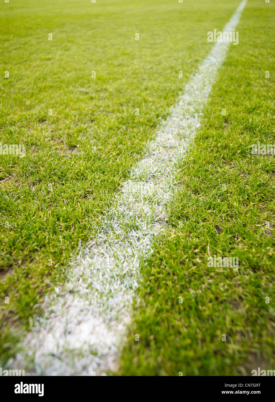 Erba verde touch line Foto Stock