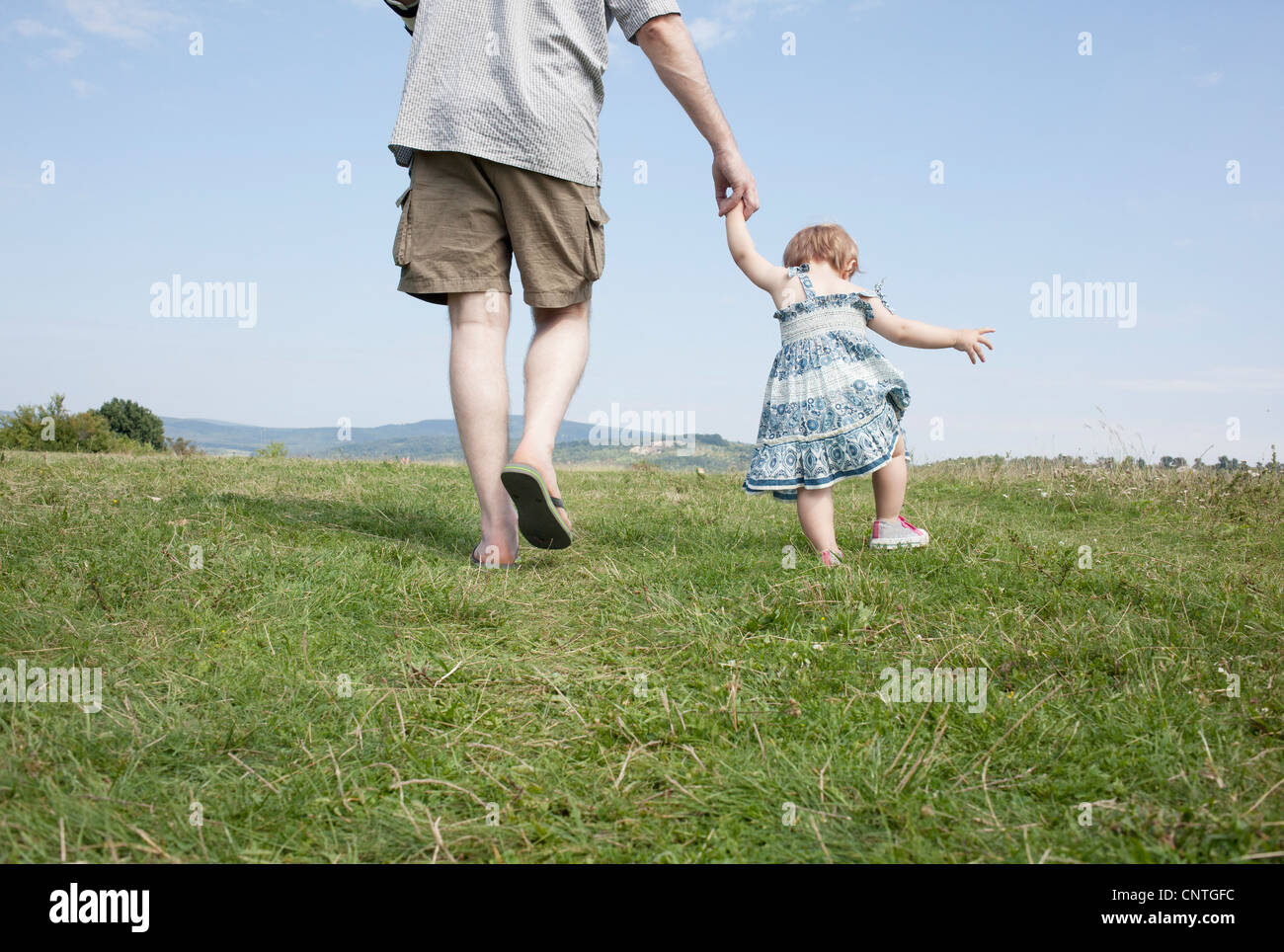 Padre camminando con la figlia nel campo Foto Stock