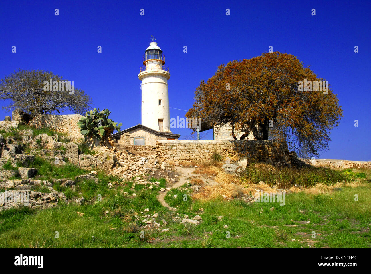 Il faro di Paphos, Cipro Foto Stock