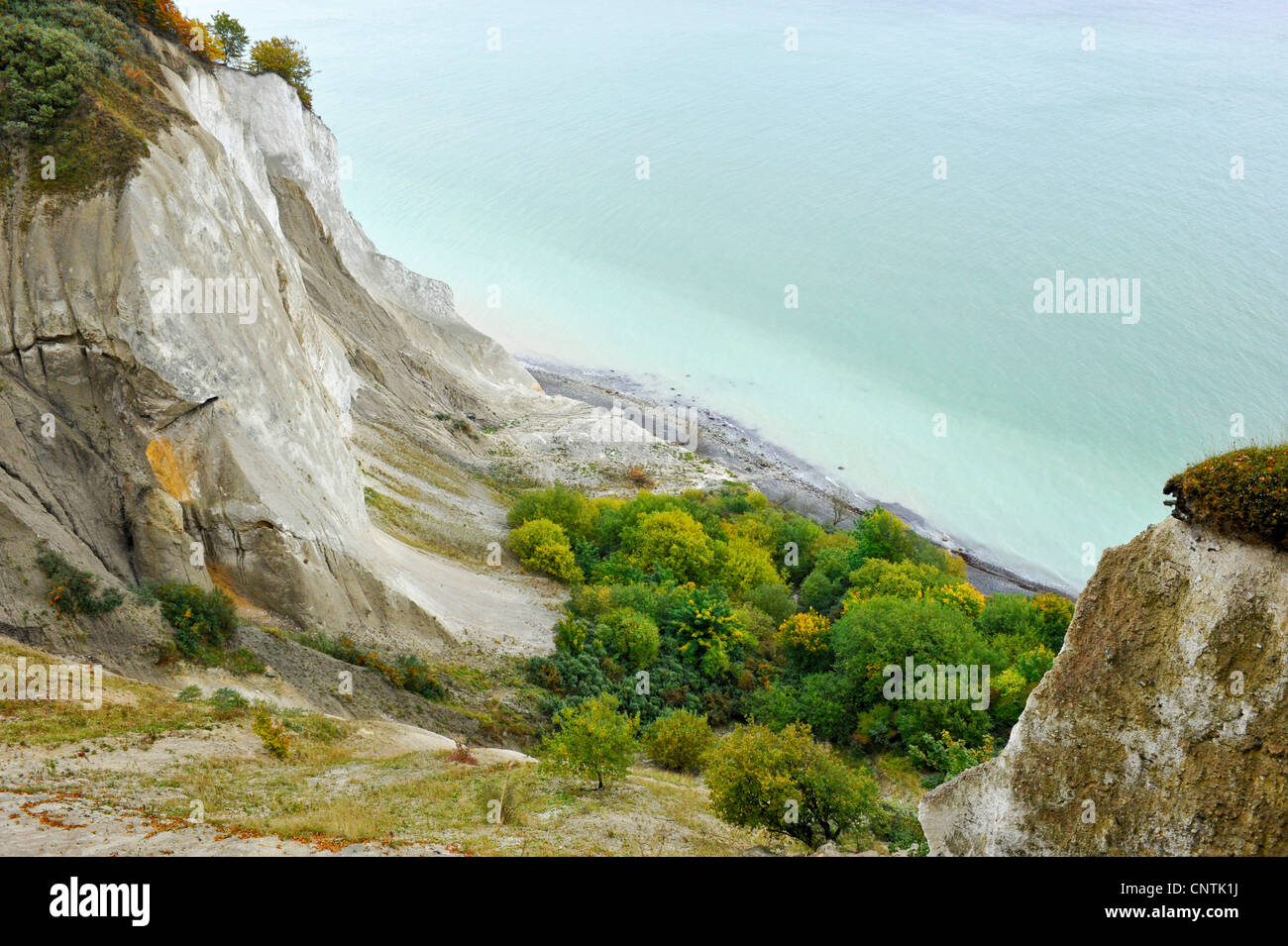 Chalk scogliere a Moen Isola, Danimarca, Moen Foto Stock