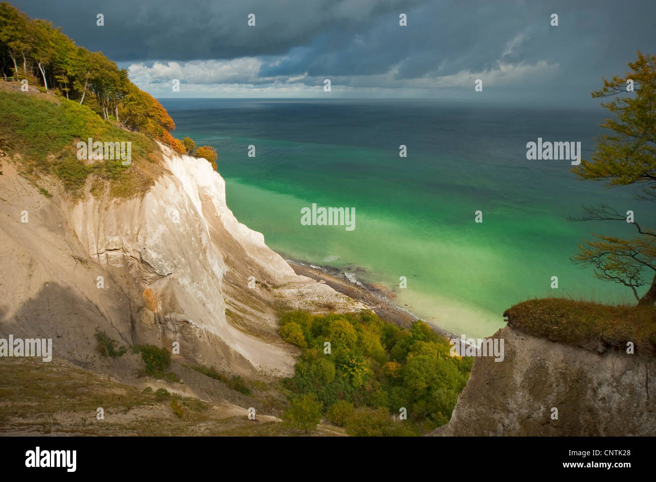 Chalk scogliere con mare verde su Moen, Danimarca, Moen Foto Stock