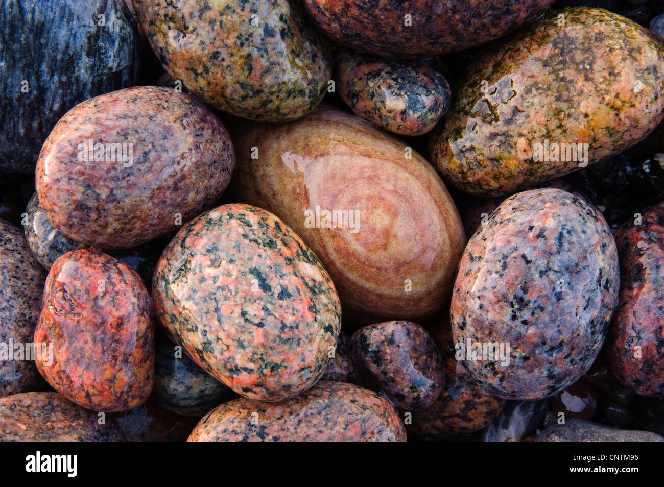 Le pietre a spiaggia, Germania, Meclemburgo-Pomerania, Ruegen, Jasmund National Park Foto Stock