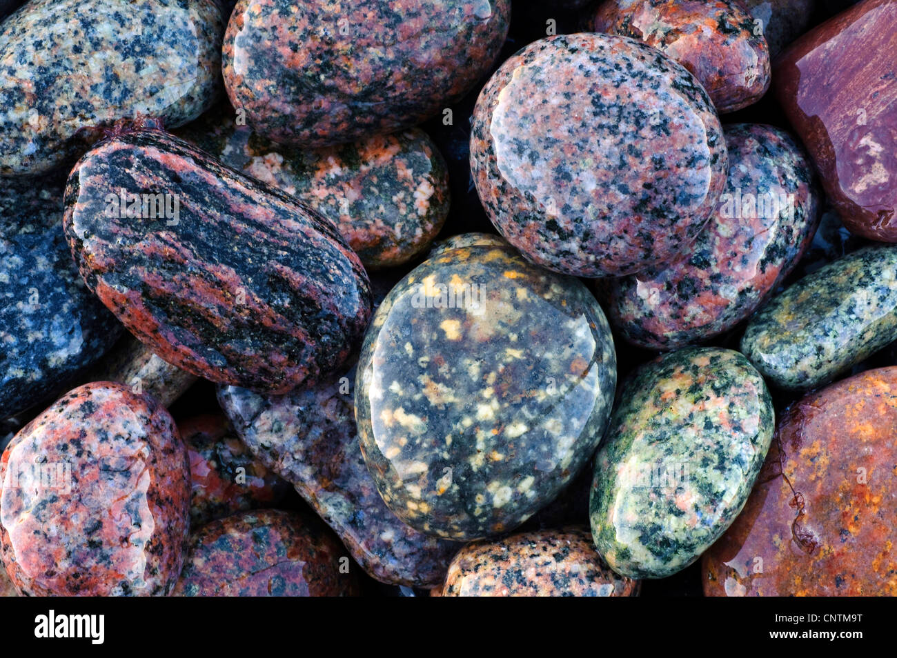 Le pietre a spiaggia, Germania, Meclemburgo-Pomerania, Ruegen, Jasmund National Park Foto Stock