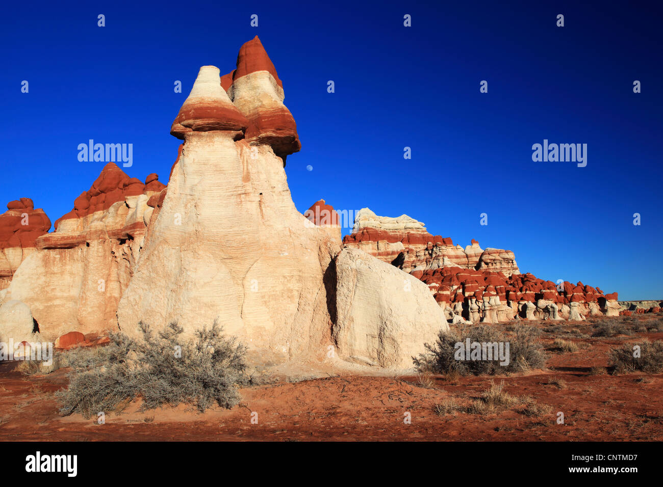 Blue Canyon, rosso e bianco calcare, USA, Arizona Foto Stock