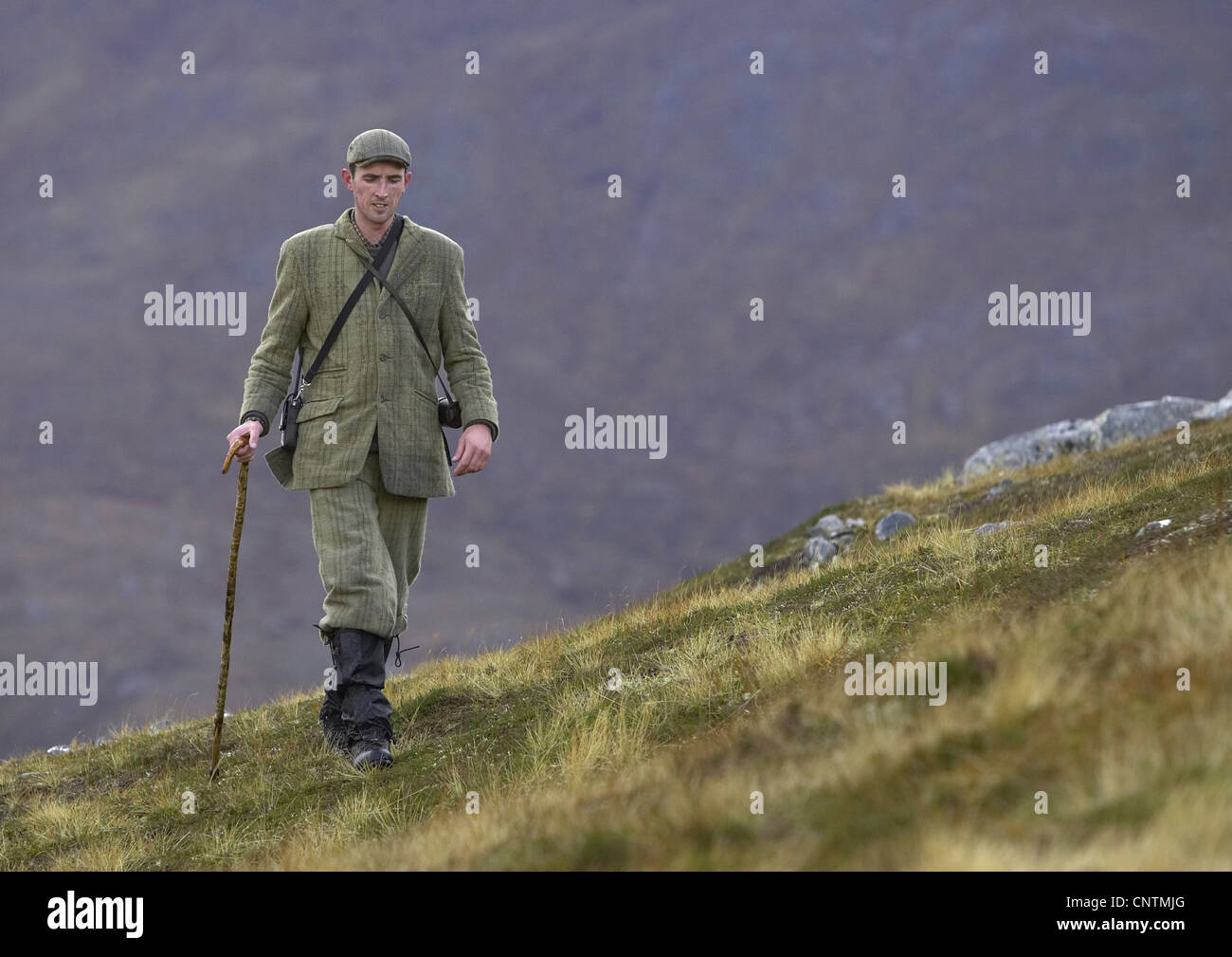 Stalker camminare su un prato di montagna, Regno Unito, Scozia, Sutherland, Alladale deserto riserva Foto Stock