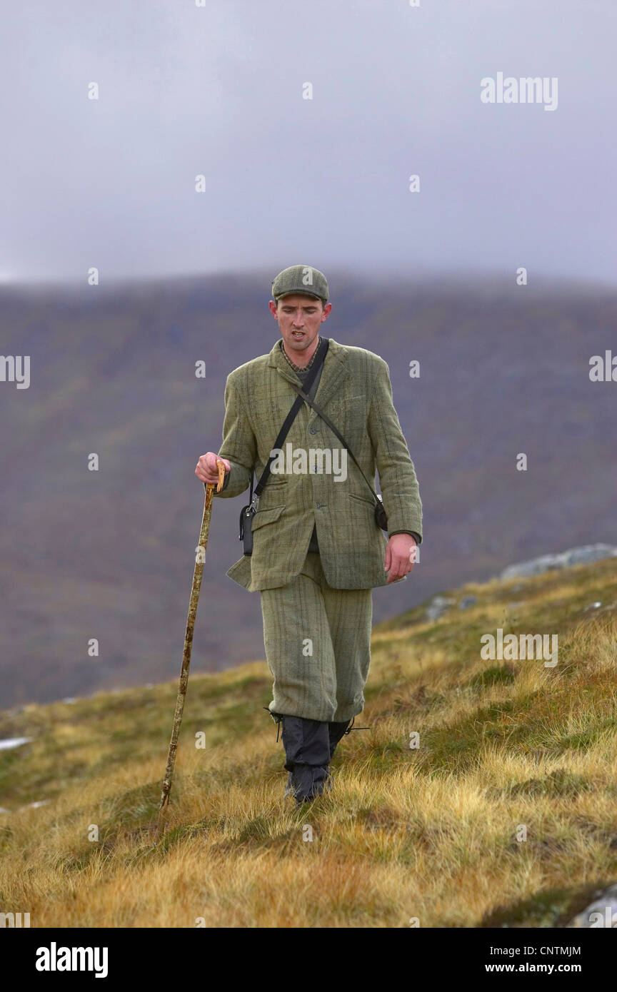 Stalker camminare su un prato di montagna, Regno Unito, Scozia, Sutherland, Alladale deserto riserva Foto Stock