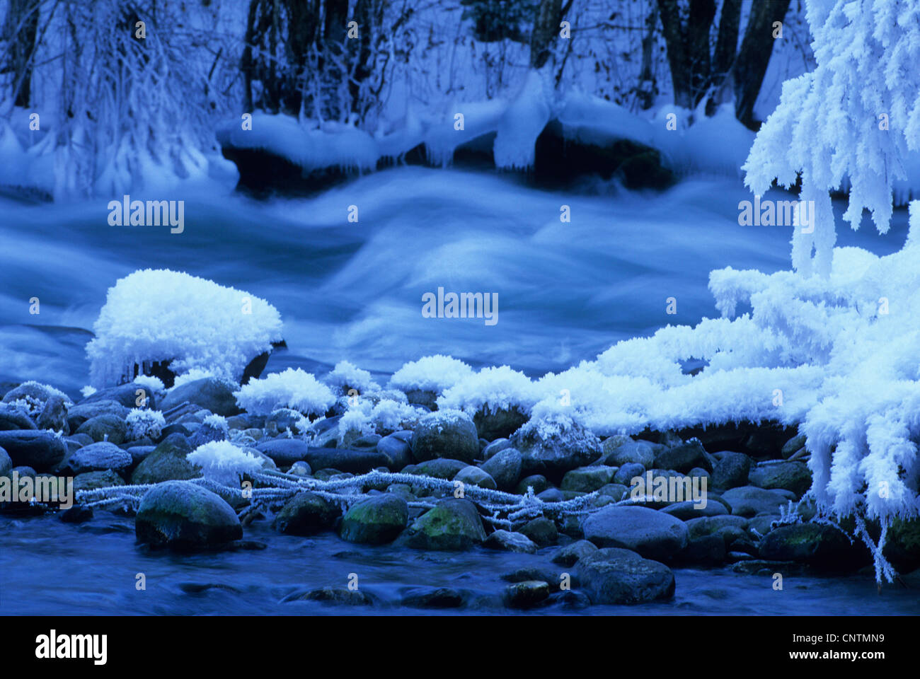 Fiume in inverno, Francia, Alpi Foto Stock