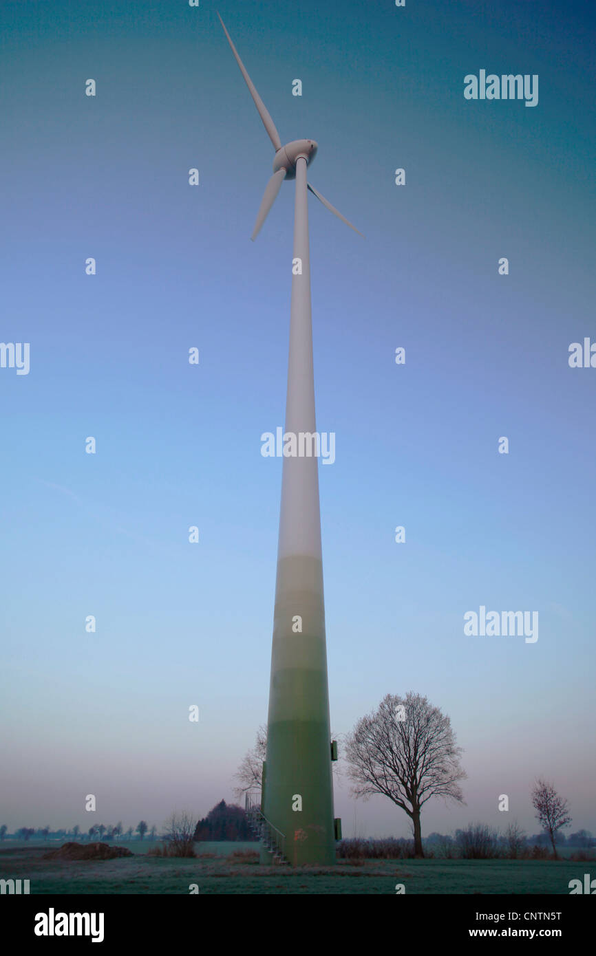 Windwheel nella luce del mattino, Germania Foto Stock