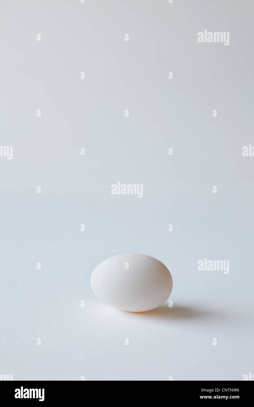 Chiudere fino a base di uova sul bancone Foto Stock