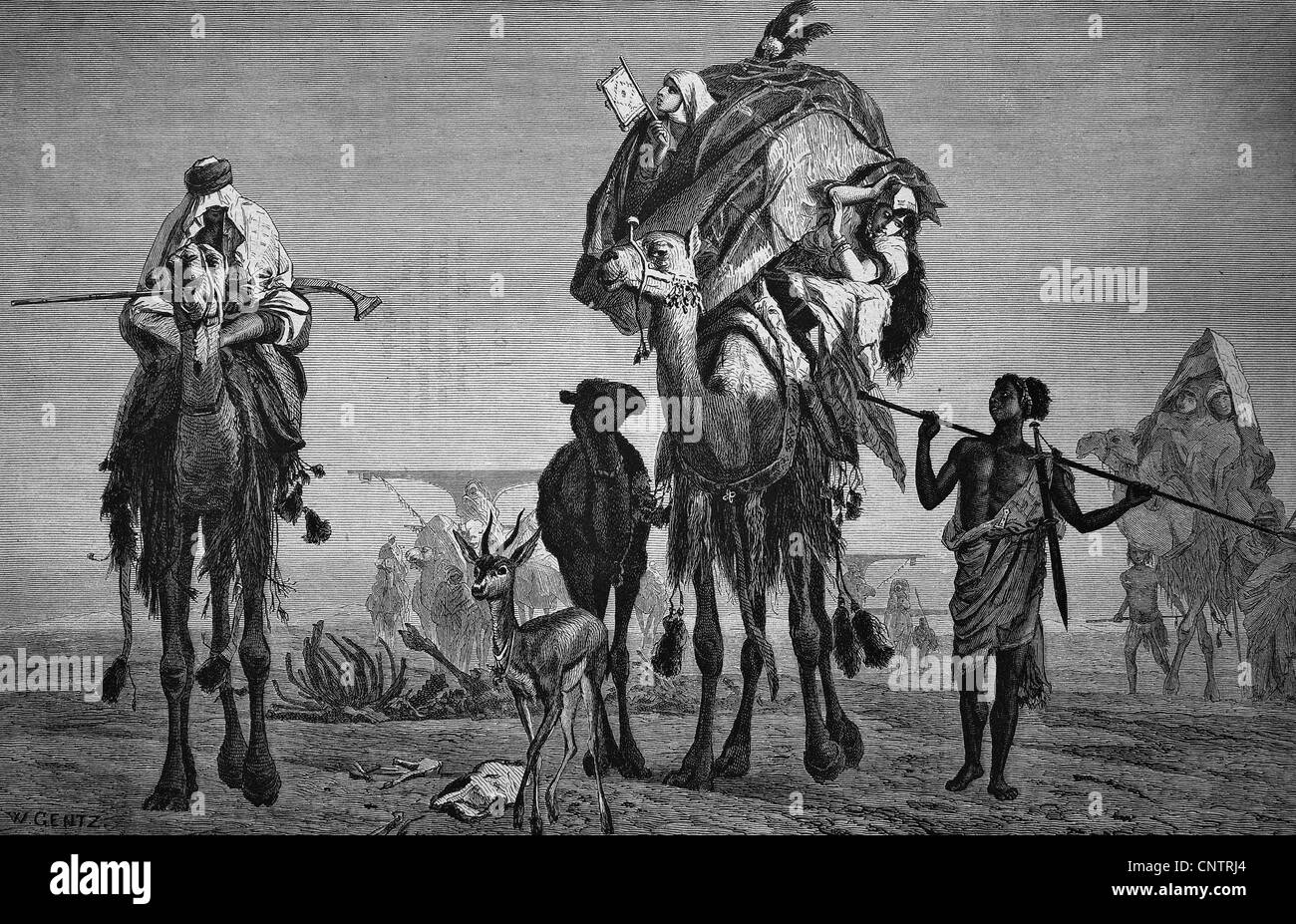 Girovagando harem di un beduino nel deserto, storico xilografia, circa 1870 Foto Stock