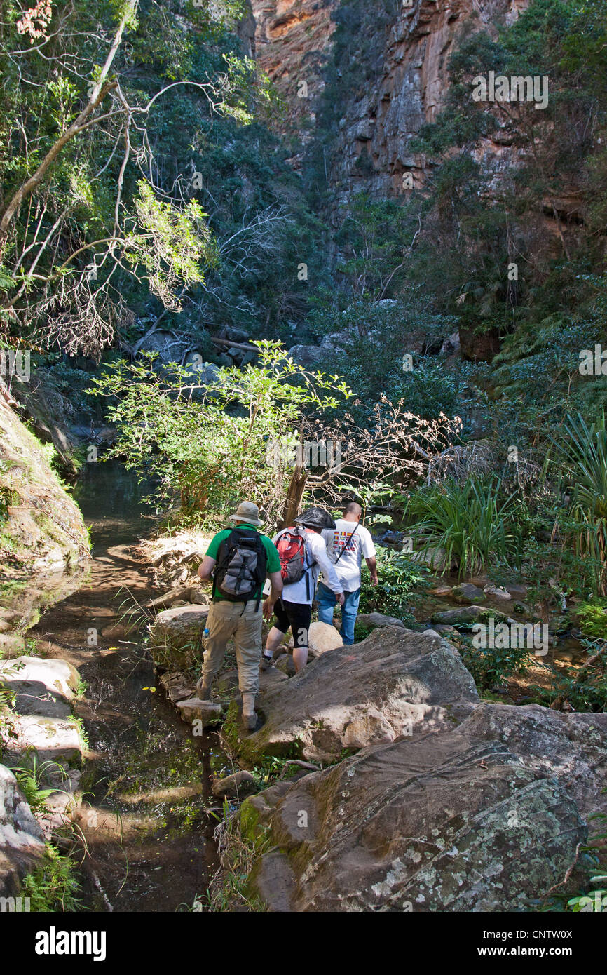 Turisti e guida nel Canyon des Makis, un canyon verdeggiante normalmente-secco Isalo National Park, Madagascar. Foto Stock