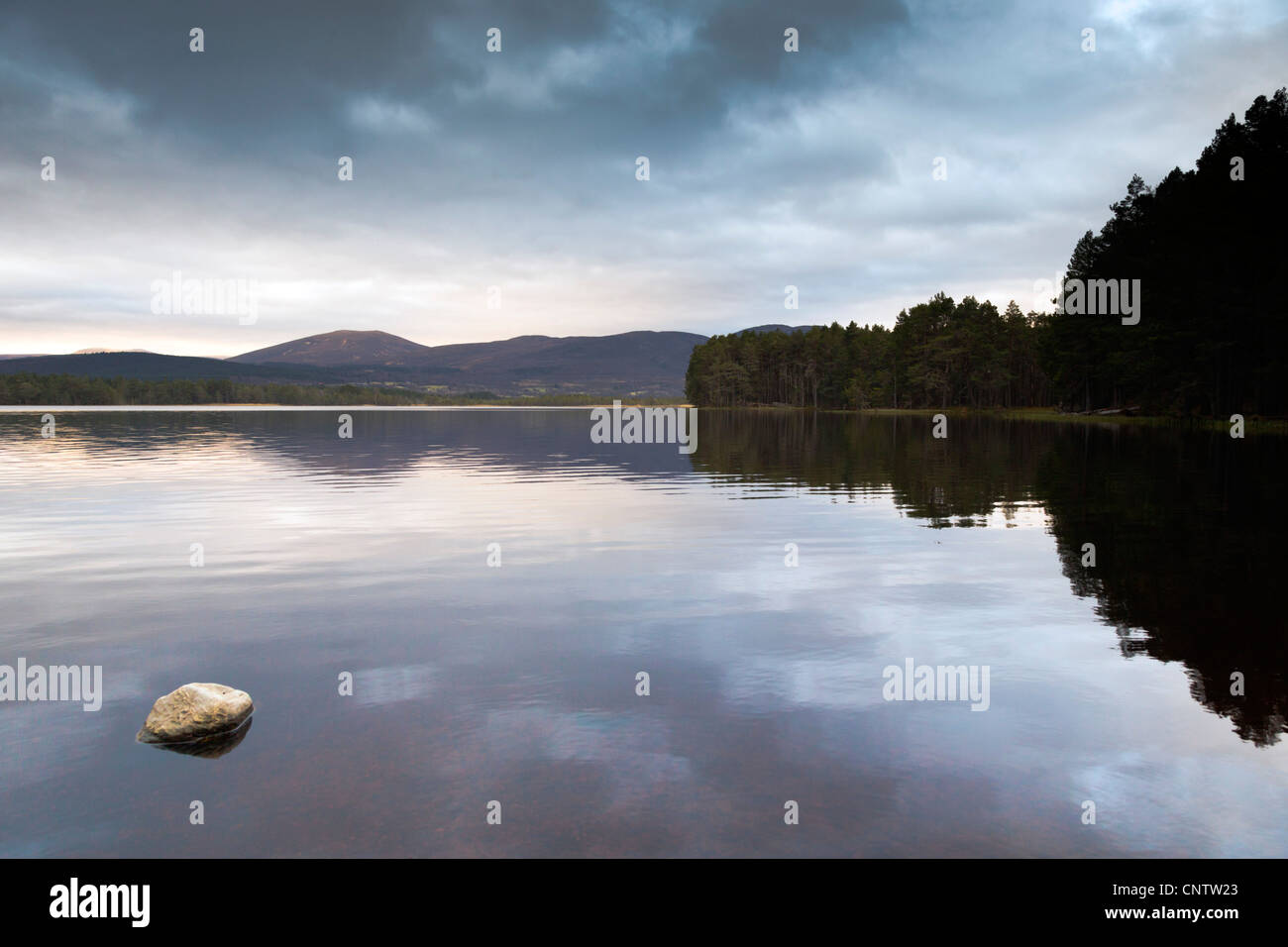 Loch Garten; Cairngorm; Scozia - UK Foto Stock