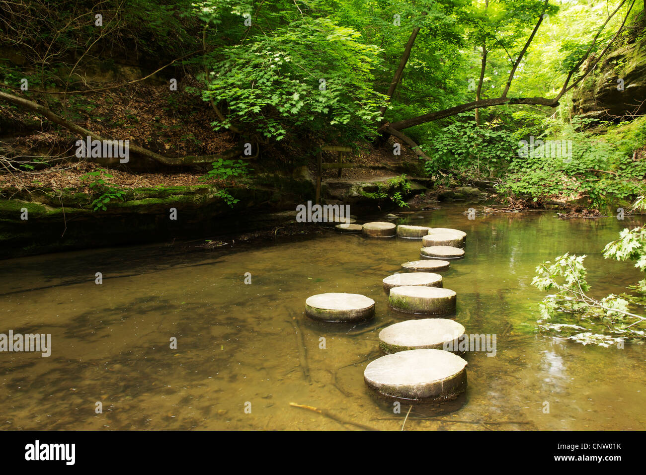 Pietre miliari. Dells superiore, stato Matthiessen Park, Illinois. Foto Stock