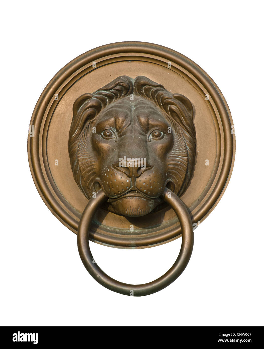 Lion porta respingente isolato su bianco Foto Stock