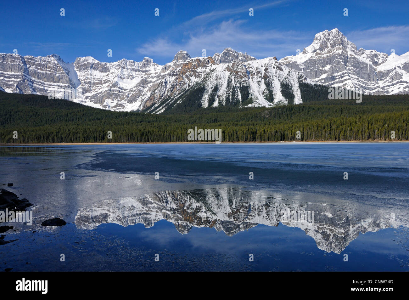 La riflessione di "Picco Howse' in parzialmente congelato 'Uccelli acquatici Lago' su una fredda mattina Foto Stock