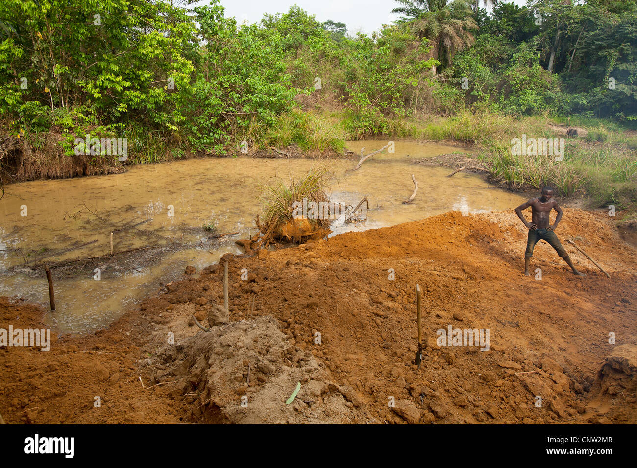 Traffico illecito di diamanti mineraria nella giungla vicino a Kenema, in Sierra Leone, Africa occidentale Foto Stock