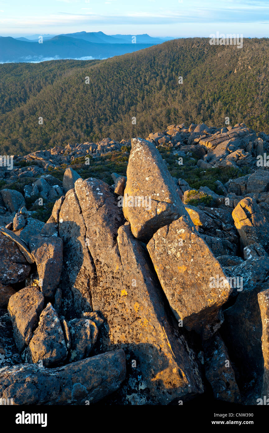 Vista delle gamme distanti dalle pareti rocciose a Seagers Lookout in Monte campo Parco nazionale Tasmania Australia Foto Stock