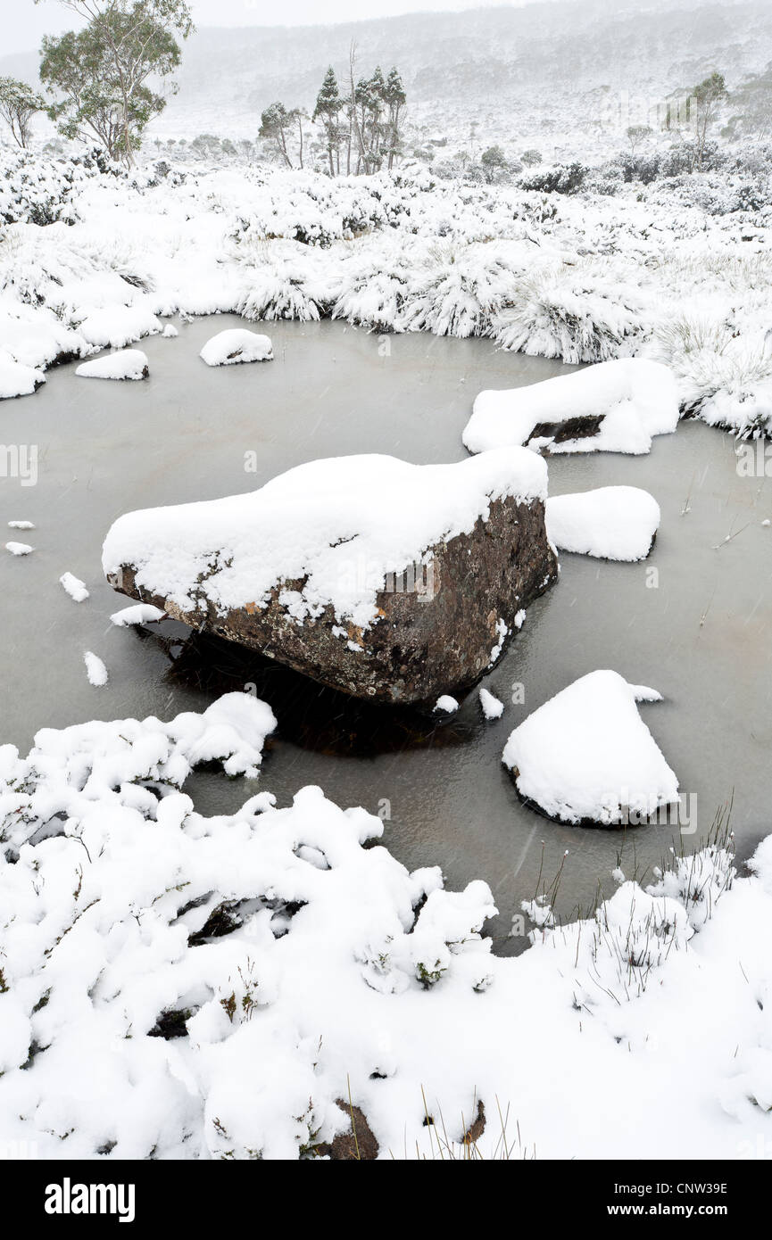 Doccia di neve e gelido tarn in Monte campo Parco nazionale Tasmania Australia Foto Stock