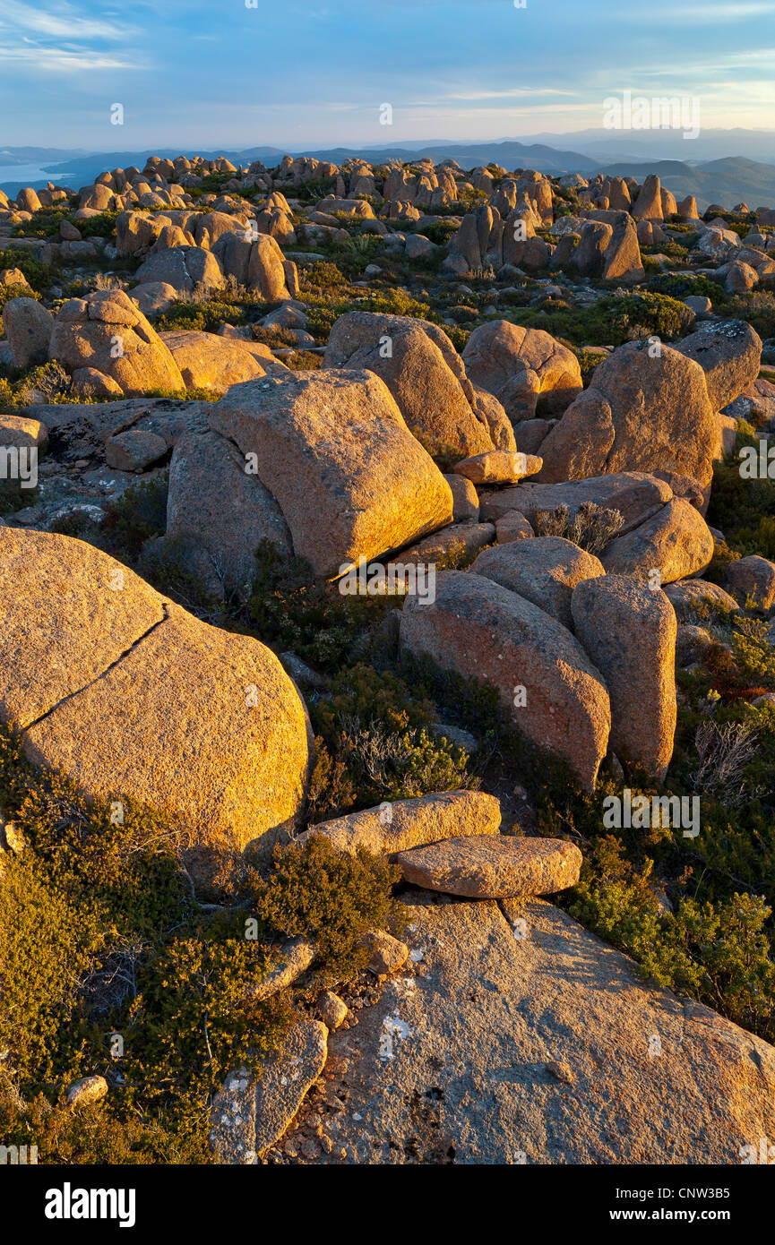 Tramonto sui massi di dolerite sulla vetta del Monte Wellington Tasmania Australia Foto Stock