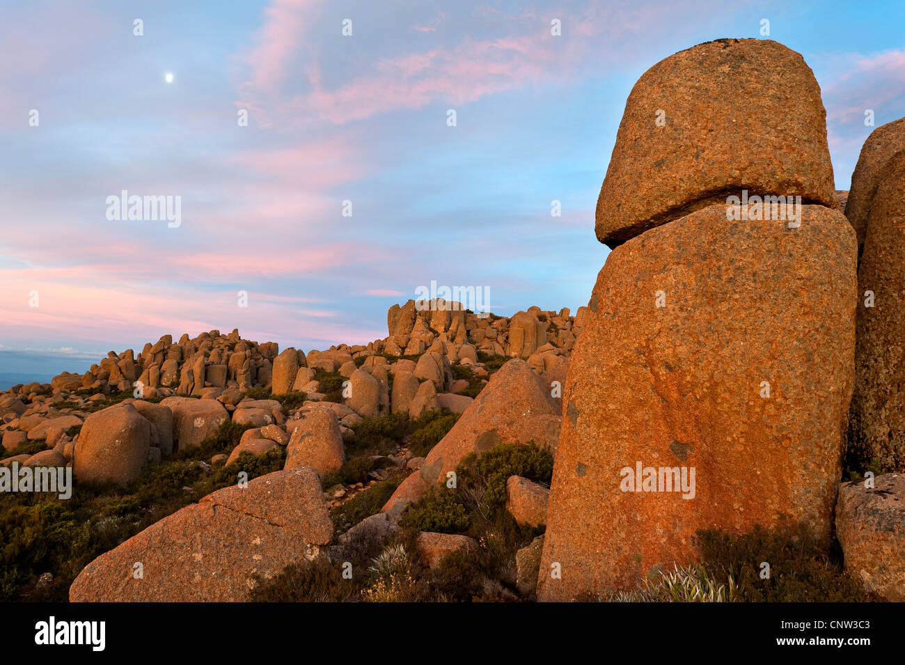 Tramonto sui massi di dolerite sulla vetta del Monte Wellington Tasmania Australia Foto Stock