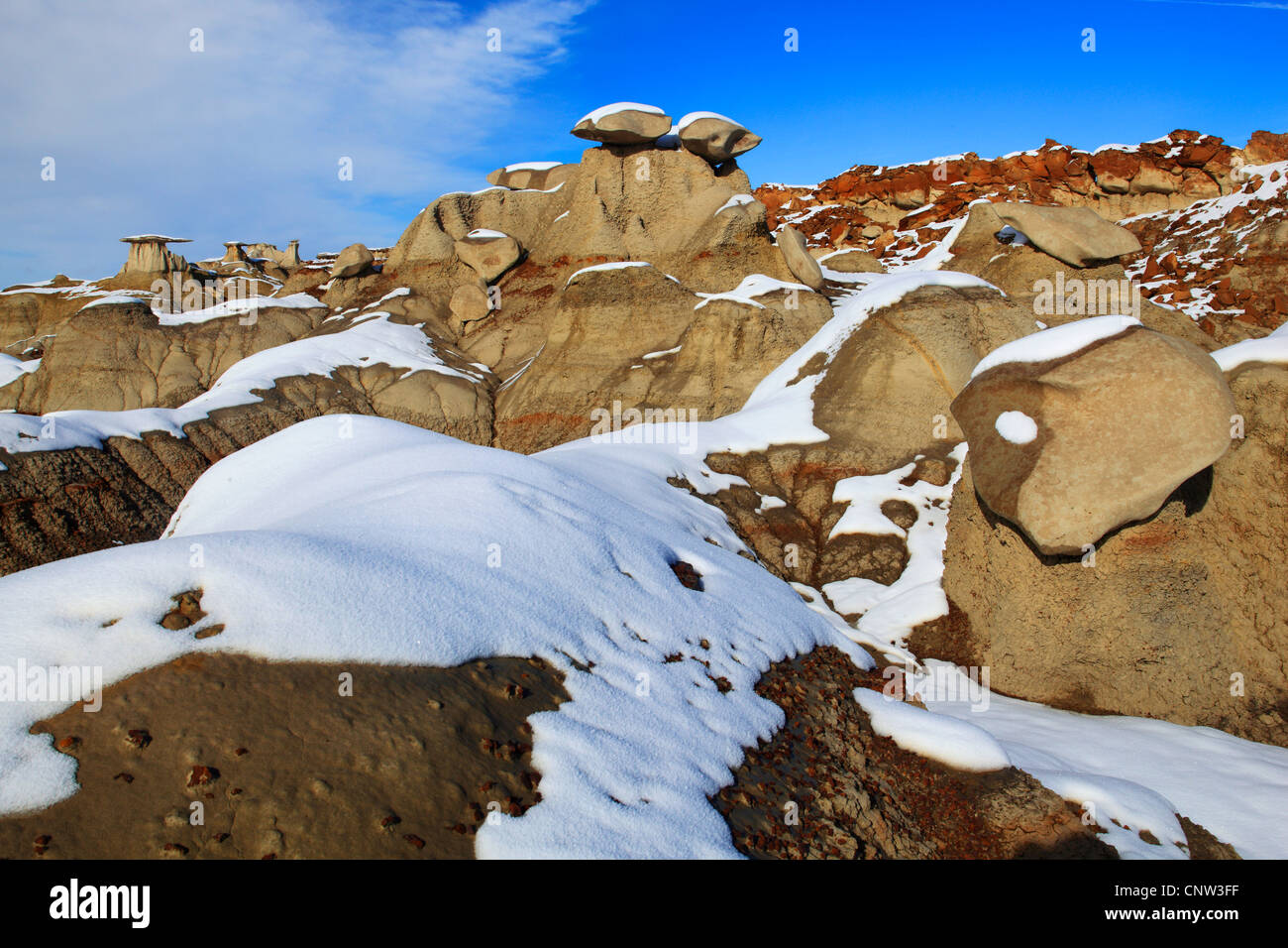 Bisti Badlands, monolito di pietra arenaria, USA, New Mexico, Bisti deserto Foto Stock