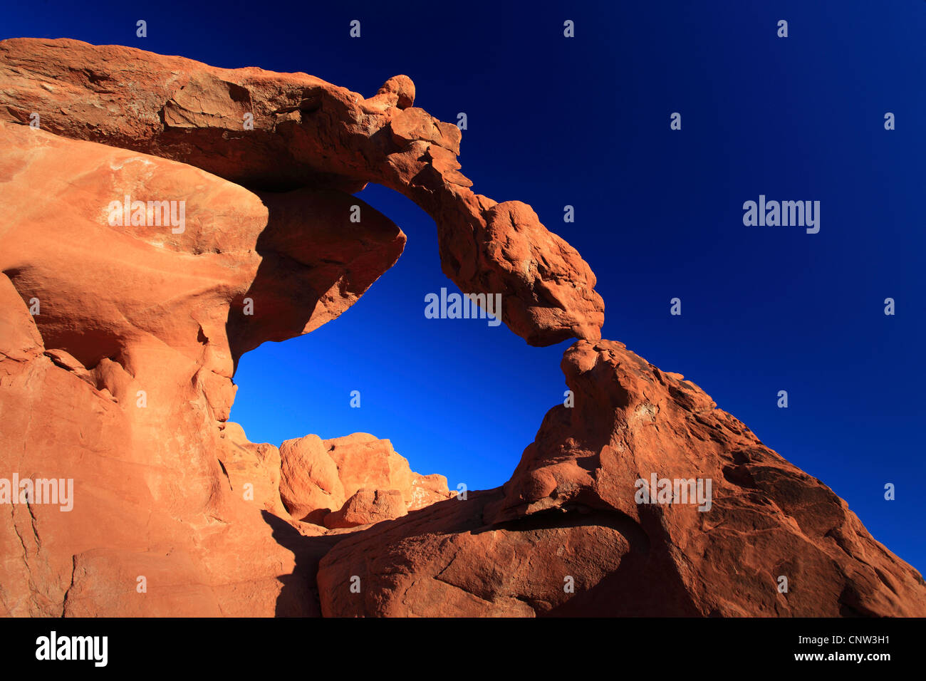 Elephant Rock; arenaria formata da acqua e vento, STATI UNITI D'AMERICA, Nevada, la Valle del Fuoco parco dello stato Foto Stock