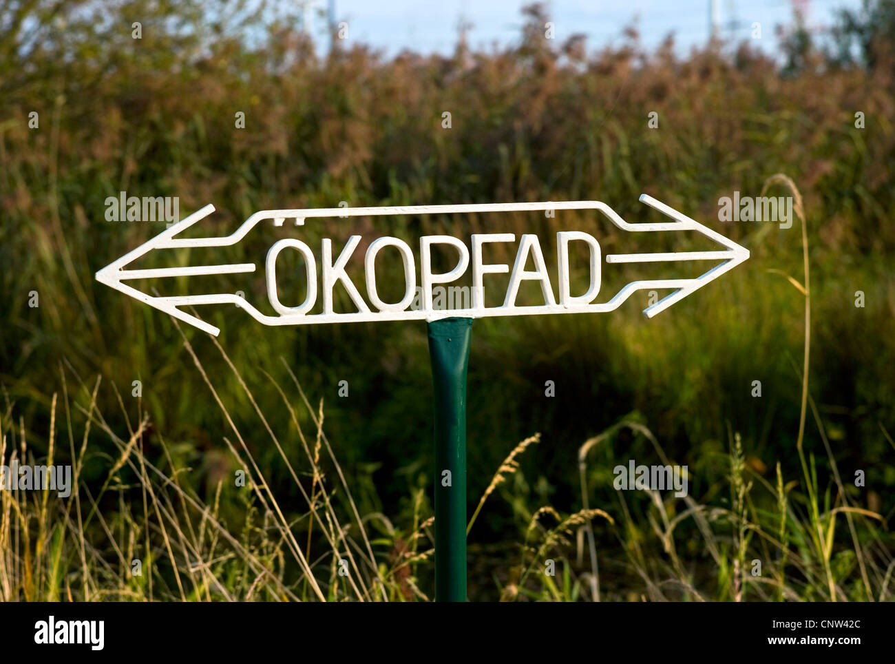 Segno che indica il 'Oekopfad' (percorso di eco) all'Werderland, un tratto di pianura a nord di Brema, Germania, Brema Foto Stock