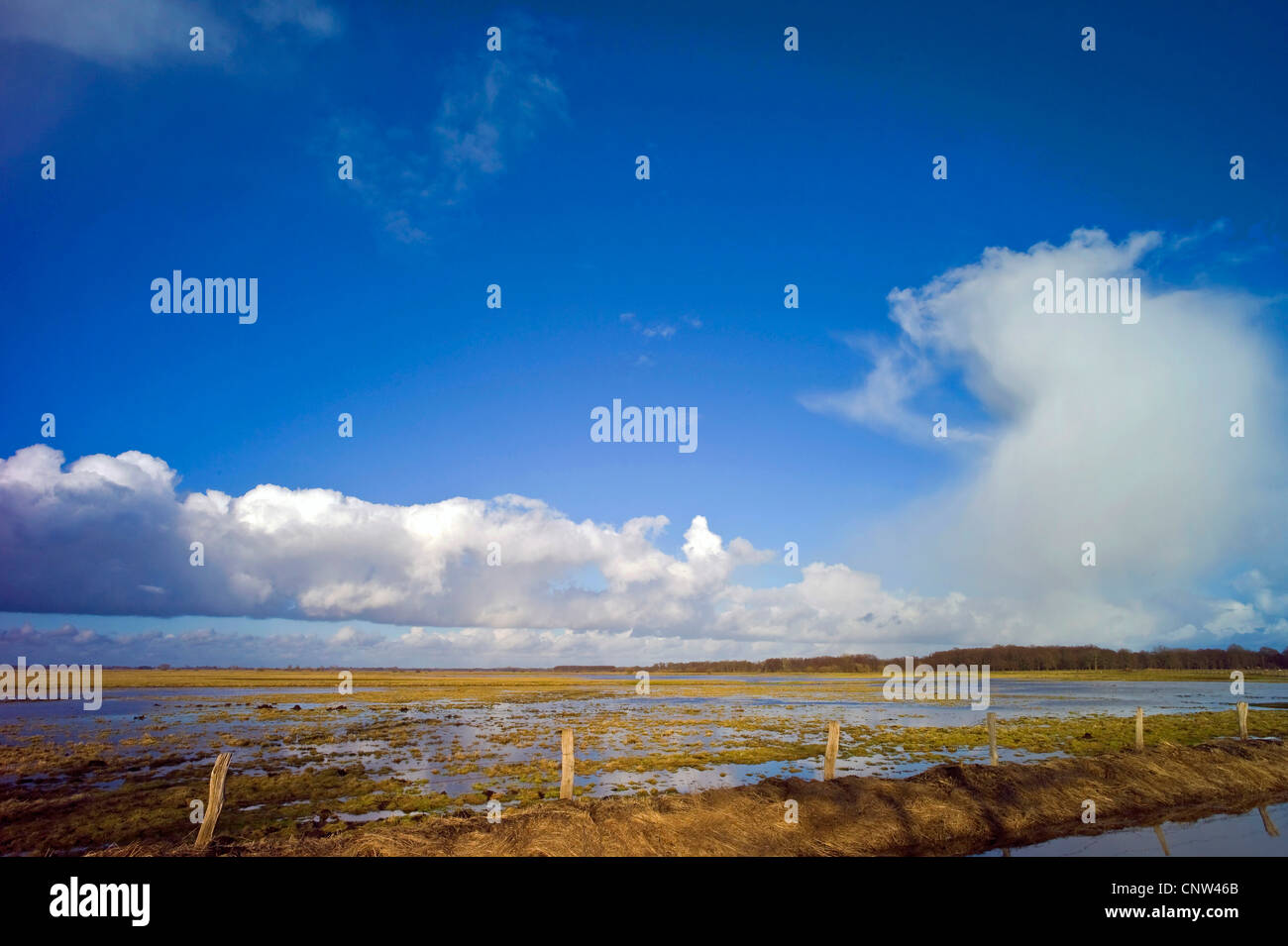 La scomparsa di cattivo tempo parte anteriore sopra prati sul fiume Hamme vicino a Worpswede, Germania, Bassa Sassonia, Landkreis Osterholz Foto Stock