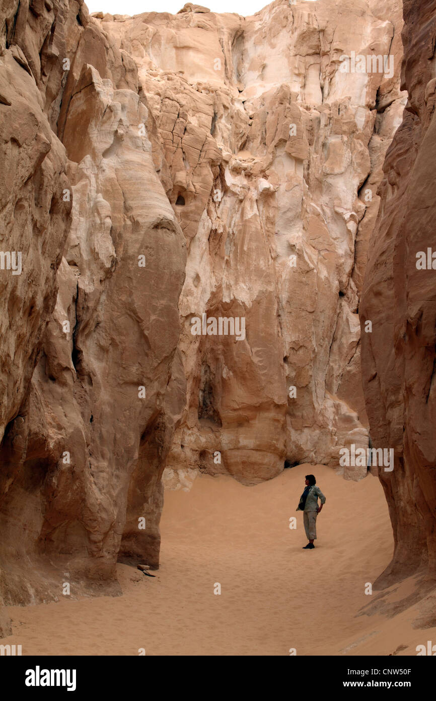 Formazioni di arenaria nel Canyon Bianco, Egitto, Sinai Foto Stock