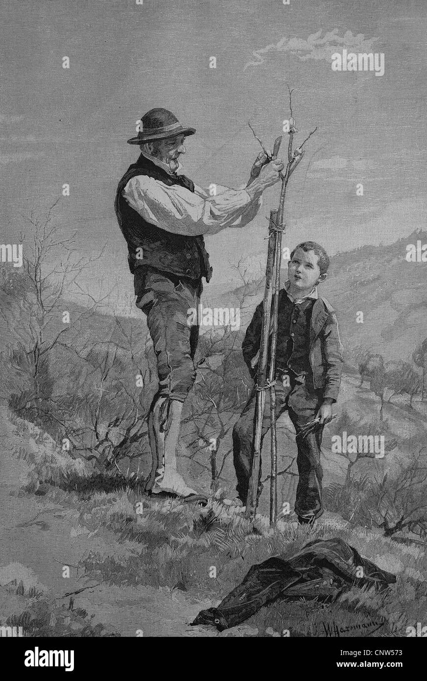 Come insegnamento per innestare un albero, incisione storica, 1880 Foto Stock