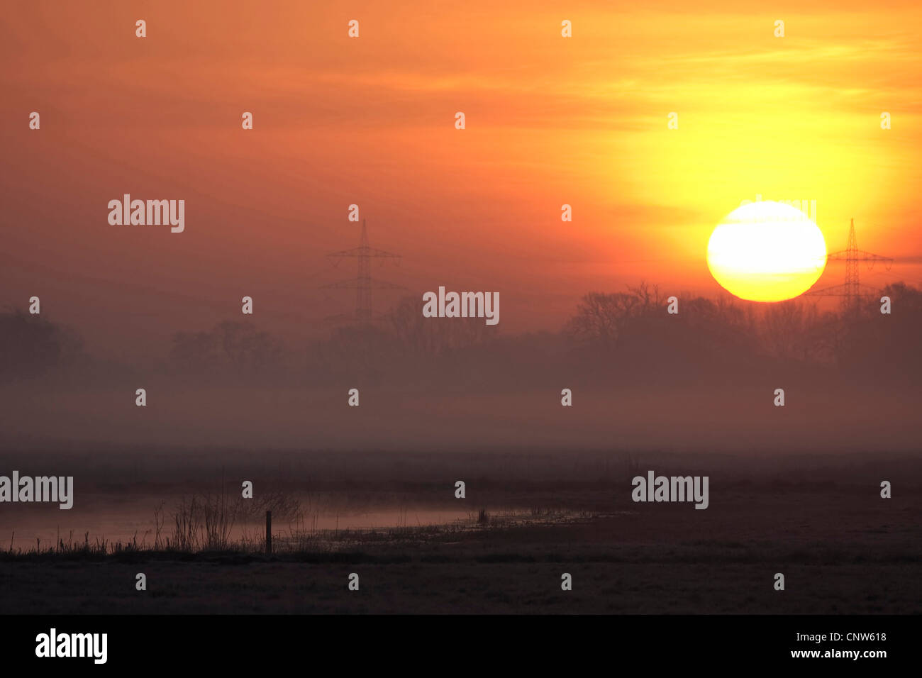 Alba sul prato di palude nella nebbia mattutina, Germania Foto Stock