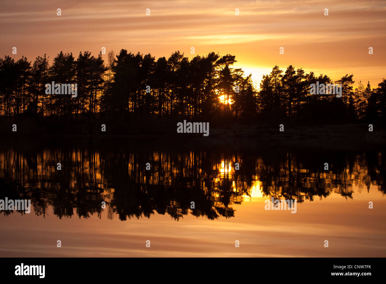 Foresta, tramonto e riflessi nel lago Vansjø in Østfold, Norvegia. Vansjø è una parte dell'acqua sistema chiamato Morsavassdraget. Foto Stock