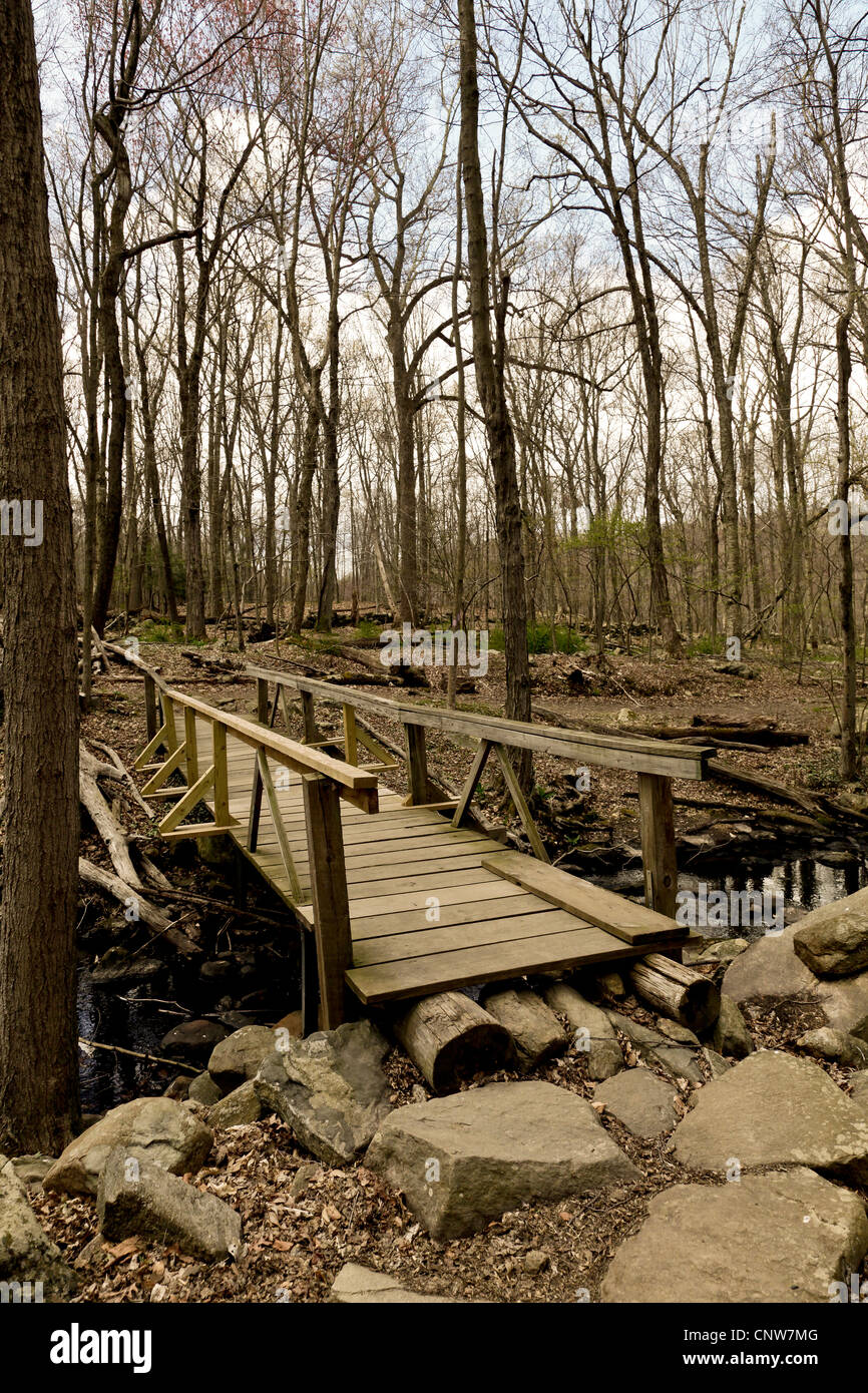 Un rustico ponte di legno attraversa un ruscello in un bosco di posizione Foto Stock
