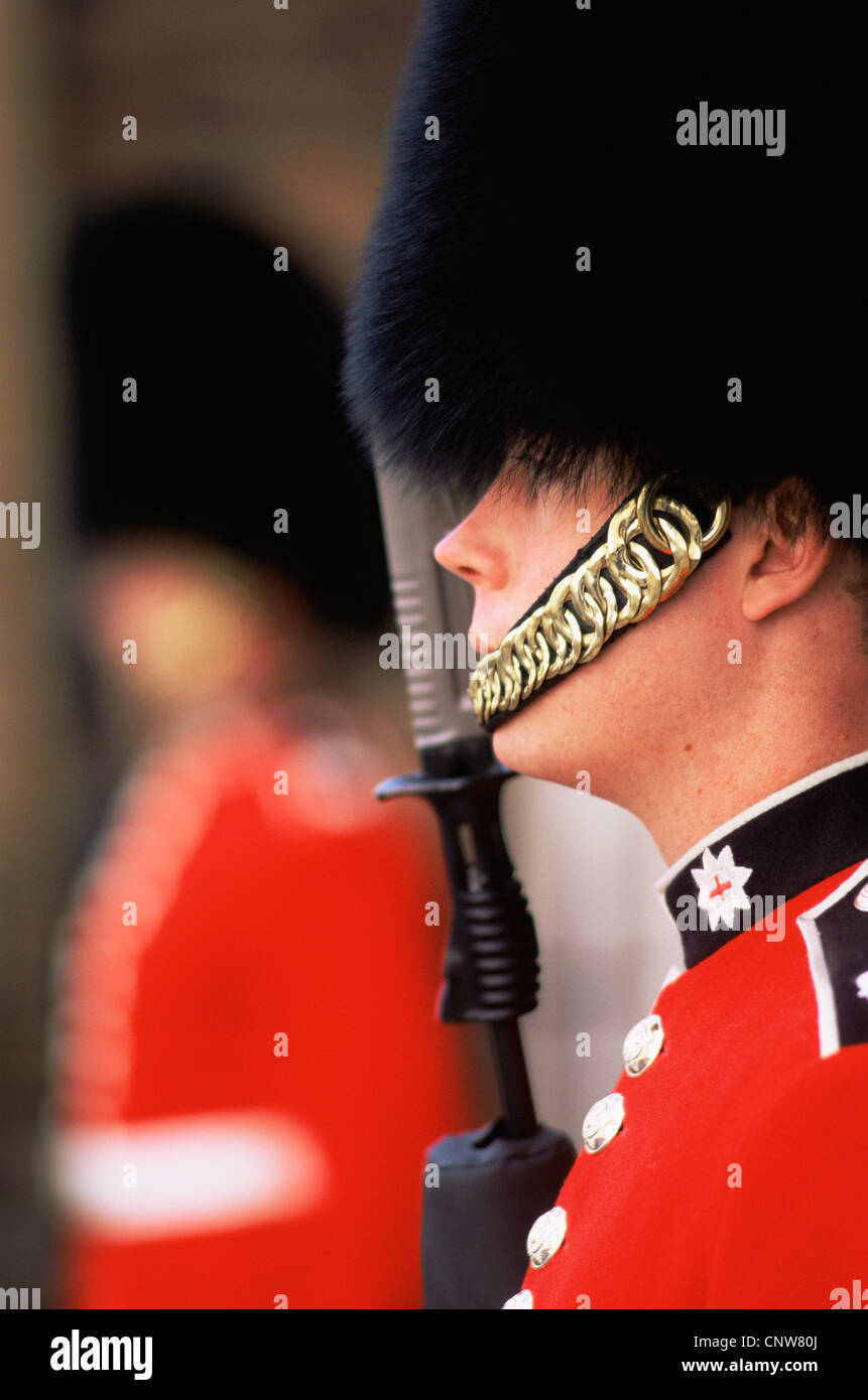 Inghilterra, Londra, Guardia al St.James's Palace Foto Stock