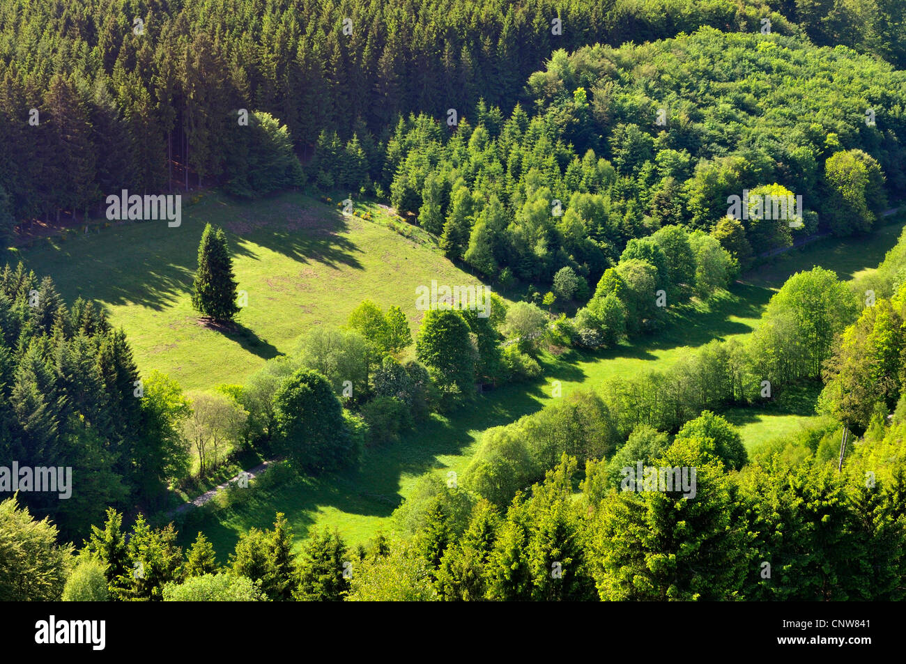 Vista di una foresta mista e paesaggi culturali, Germania Foto Stock