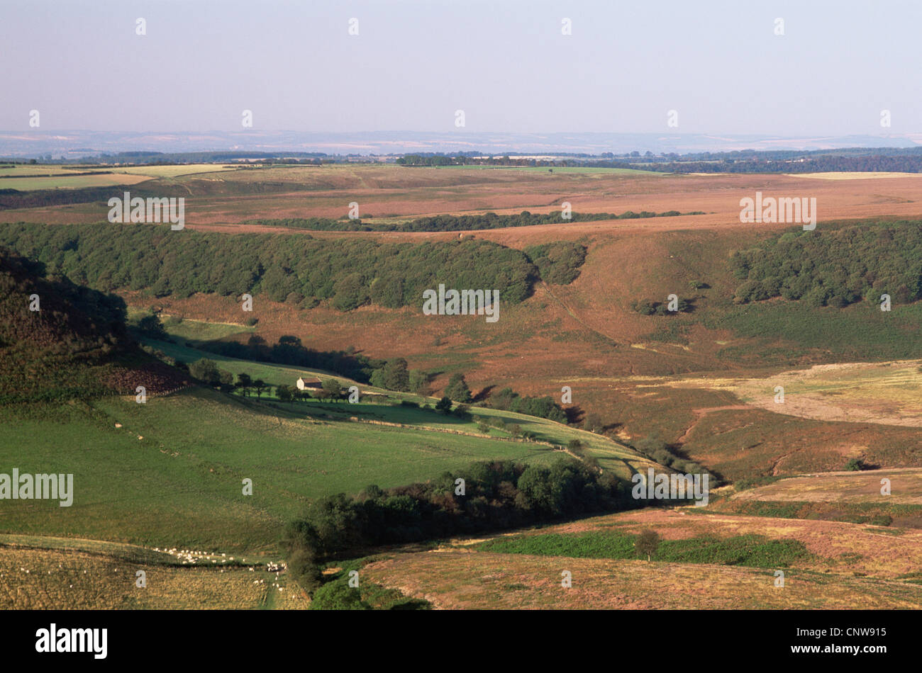 Inghilterra, nello Yorkshire, North Yorkshire Moors National Park, il foro di Horcum Foto Stock
