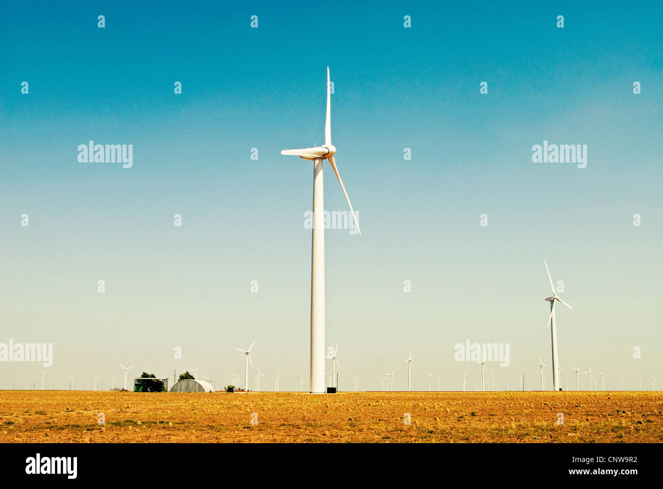 Il Texas è il paese leader nel settore dell'energia eolica produttore. Nella foto è una fattoria eolica vicino a Lubbock. Foto Stock