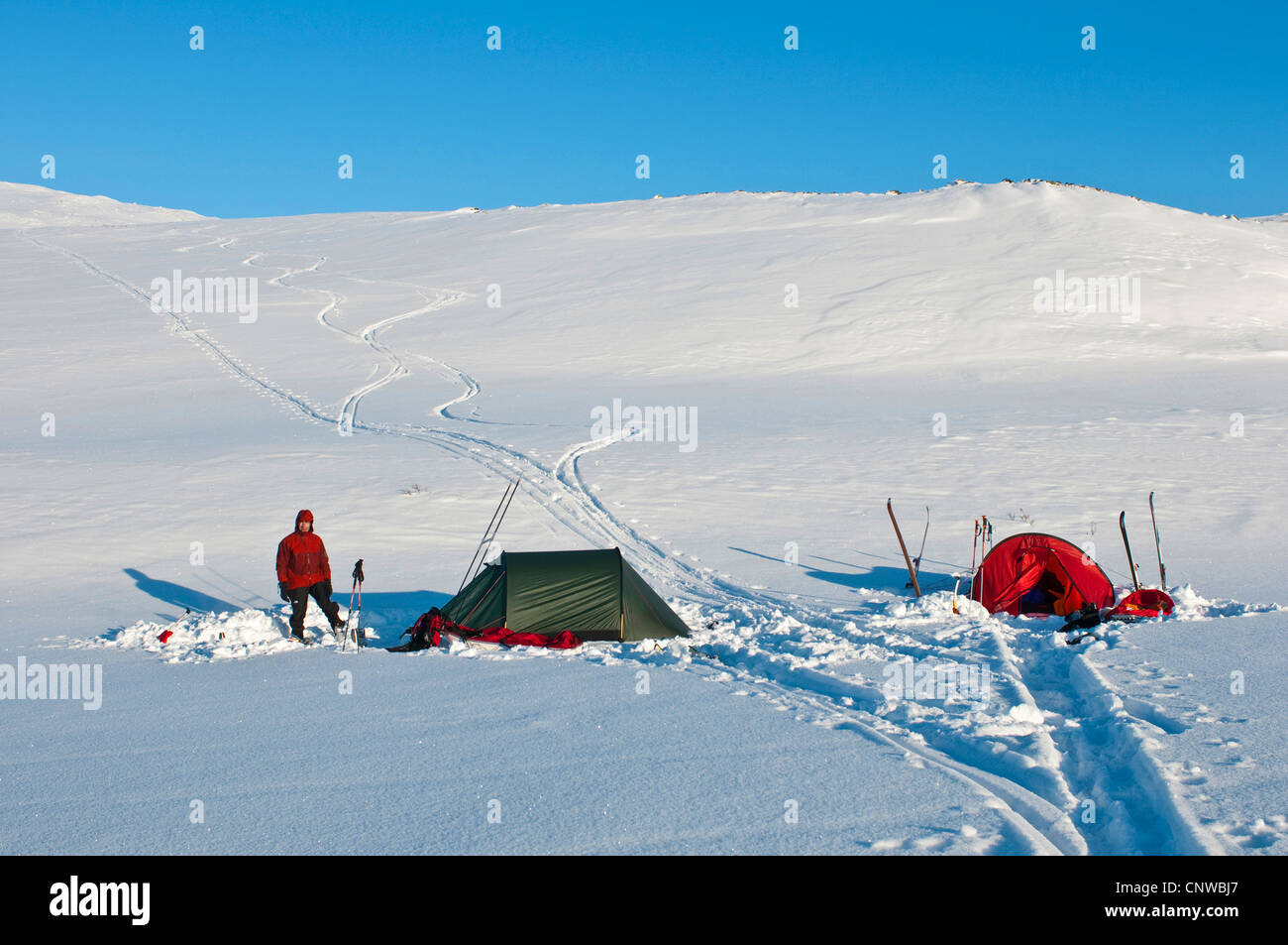 Campo in tenda nella neve, Svezia, la Lapponia Norrbotten, Sarek National Park Foto Stock