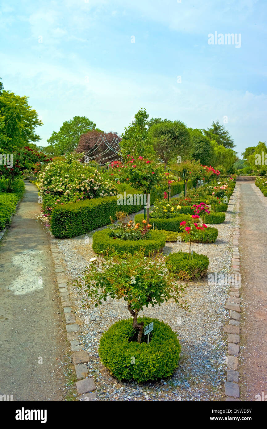 Rosarium Wilhelmshaven, Germania, Bassa Sassonia Foto Stock