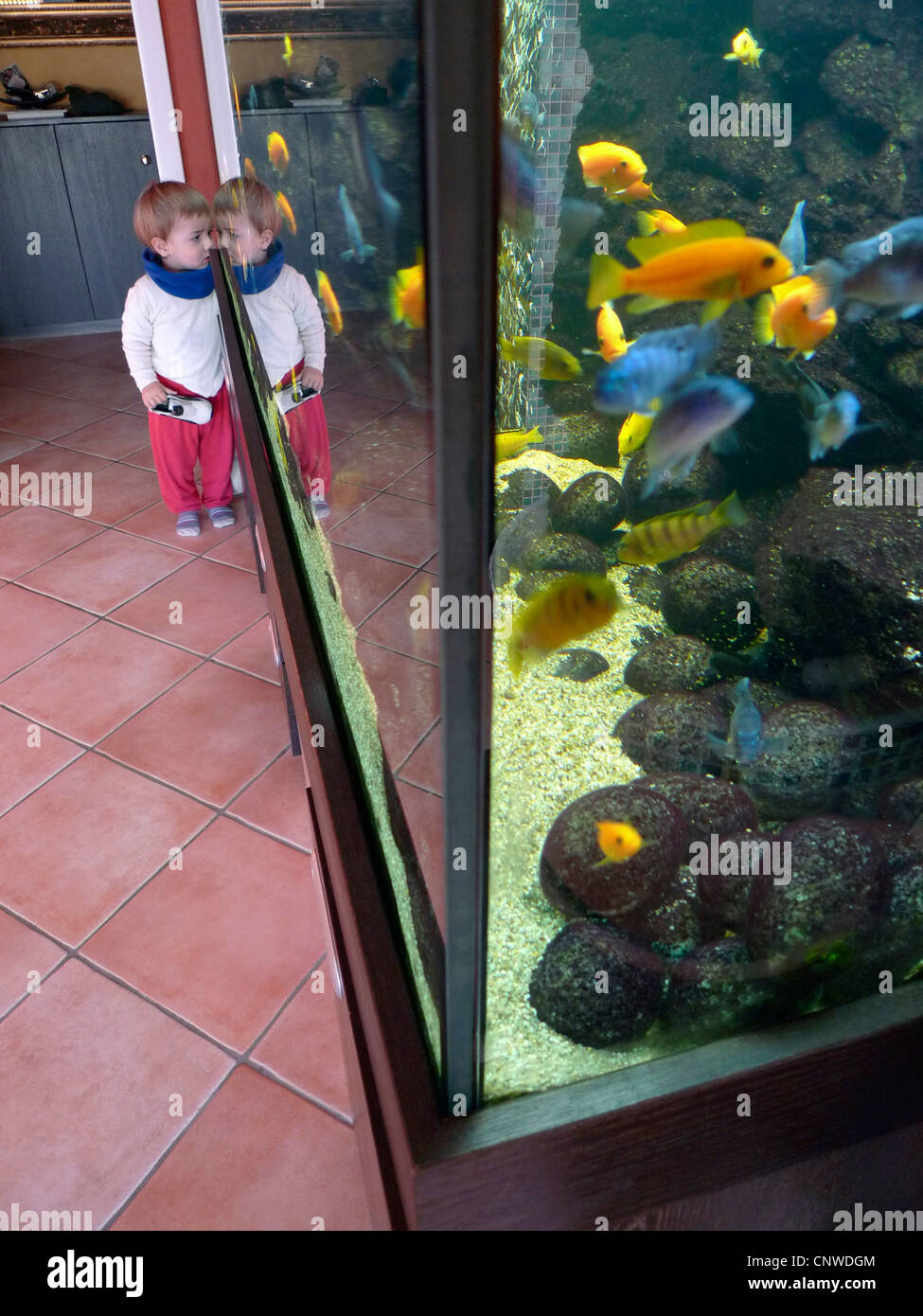 Little Boy ad un acquario Foto Stock