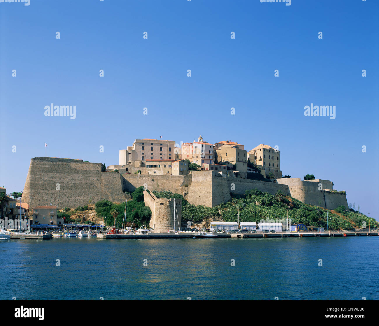 Francia, Corsica, Calvi, la Cittadella Foto Stock