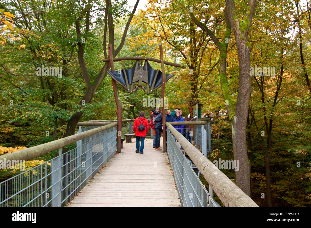 La tettoia di cammino , Germania, Thueringen, Parco Nazionale Hainich Foto Stock