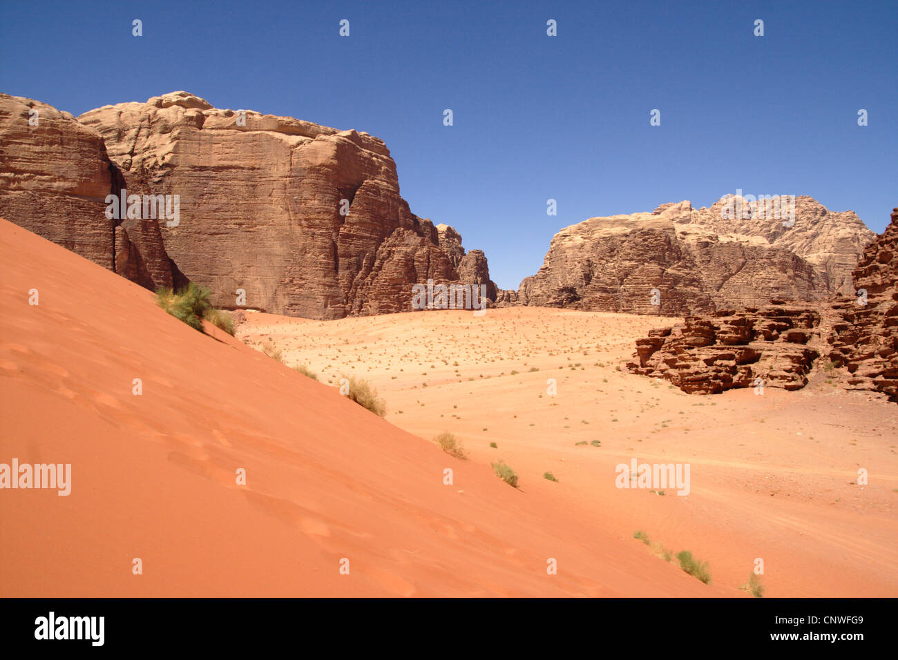 Red dune nel deserto Wadi Rum, Giordania Foto Stock