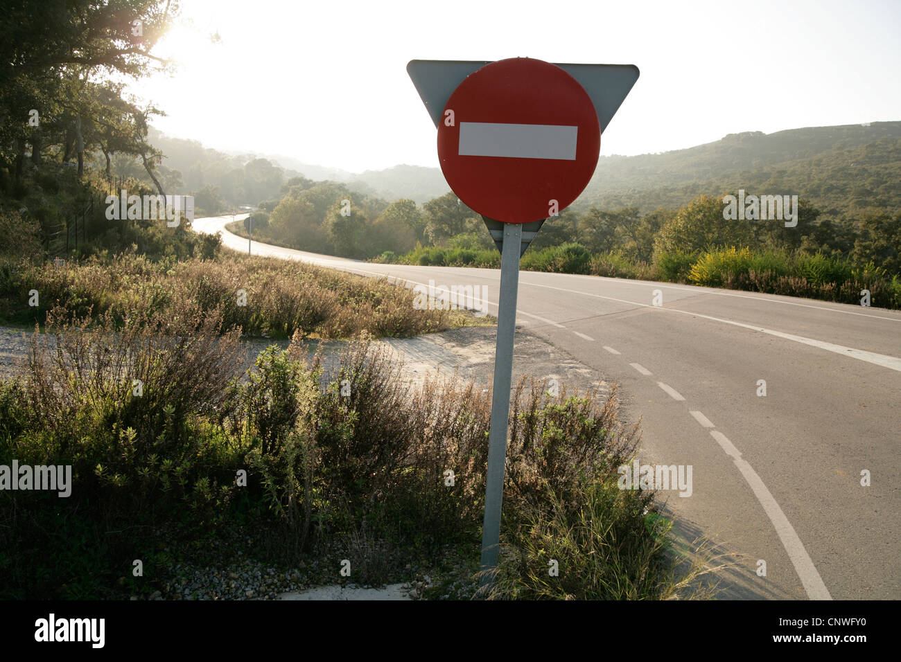 Avvolgimento di vuoto road,soleggiati con prospettiva in Spagna Foto Stock